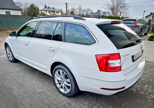 Skoda Octavia cena 83500 przebieg: 148000, rok produkcji 2020 z Dęblin małe 106